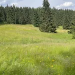 Thueringer Wald-zauber * Zella-Mehlis