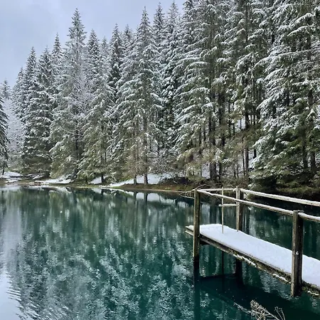 Thueringer Wald-zauber