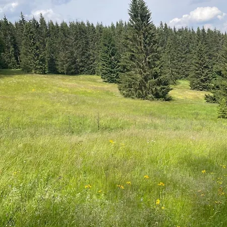 Thueringer Wald-zauber * Zella-Mehlis