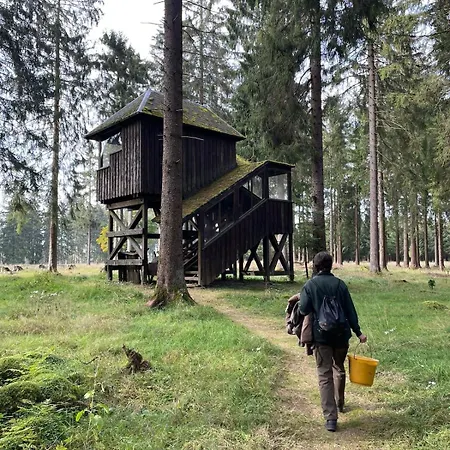 Thueringer Wald-zauber Apartment *