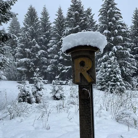 Apartament Thueringer Wald-zauber Zella-Mehlis