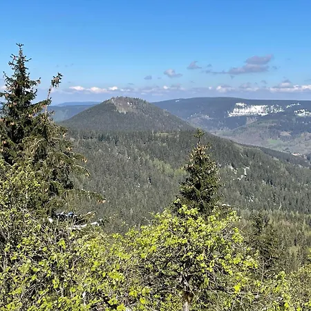 Apartament Thueringer Wald-zauber