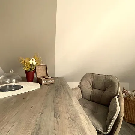 Thueringer Wald-zauber Apartament *