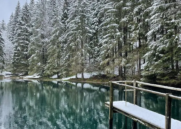 Thueringer Wald-zauber
