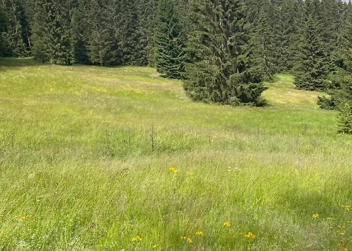 Thueringer Wald-zauber * Zella-Mehlis