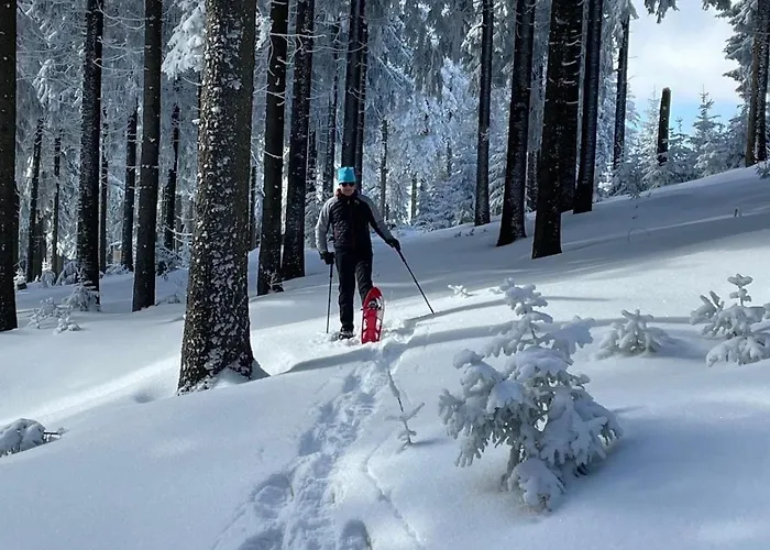 Lejlighed Thueringer Wald-zauber Zella-Mehlis