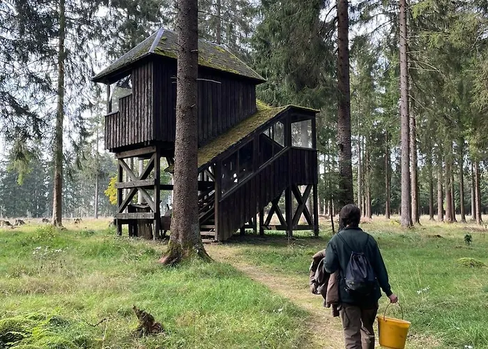 Thueringer Wald-zauber Lejlighed *