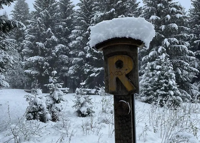 Lejlighed Thueringer Wald-zauber Zella-Mehlis
