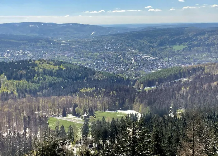 Lejlighed Thueringer Wald-zauber Zella-Mehlis