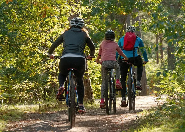 Thueringer Wald-zauber Lejlighed Zella-Mehlis