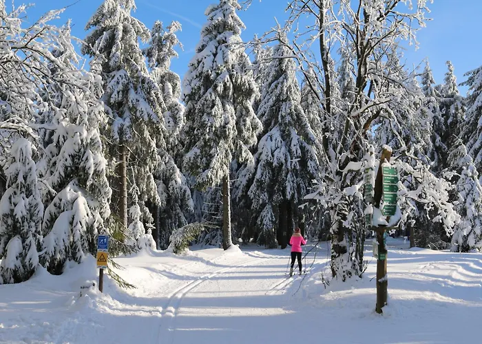 Lejlighed Thueringer Wald-zauber